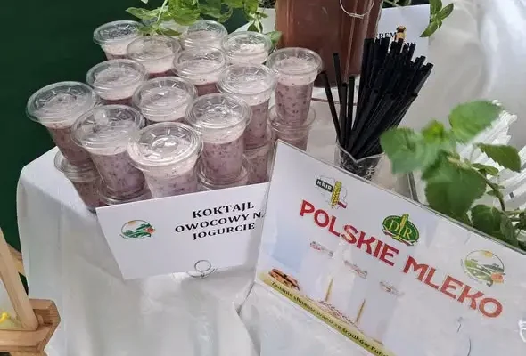 Dożynki Gminy Kamienna Góra: promocja produktów mlecznych i atrakcje dla całych rodzin