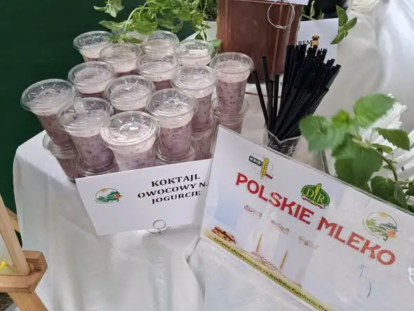Dożynki Gminy Kamienna Góra: promocja produktów mlecznych i atrakcje dla całych rodzin