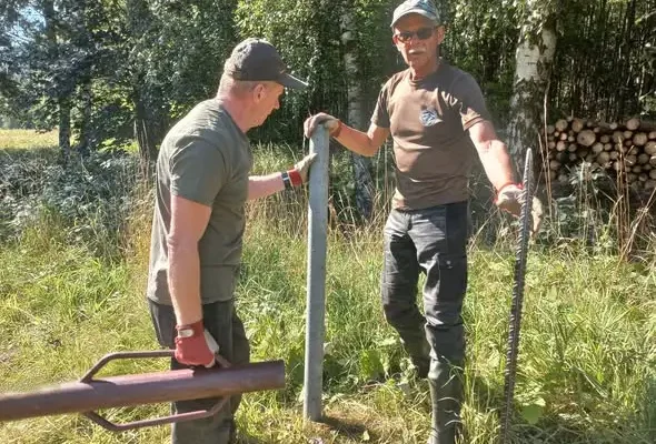 Wypas w Kruczej Dolinie rozpoczęty – konie pomogą w ochronie łąk
