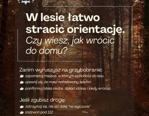 76-latka zgubiła się w lesie na grzybobraniu. Odnalazł ją policyjny śmigłowiec