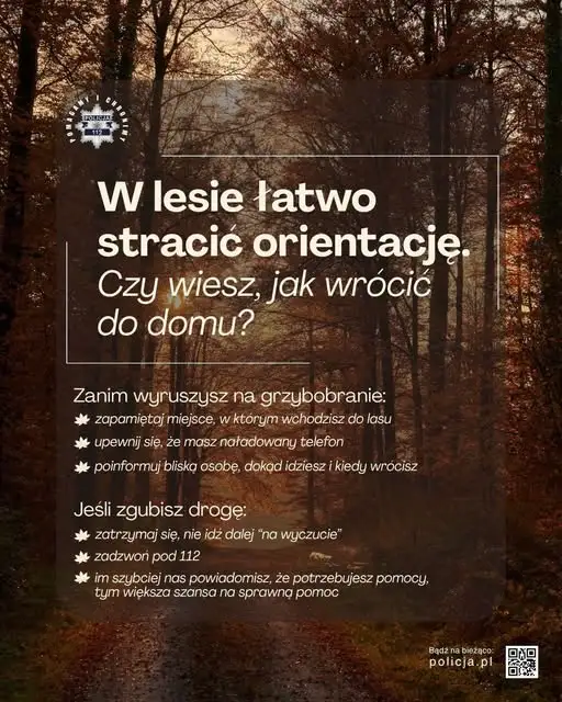 76-latka zgubiła się w lesie na grzybobraniu. Odnalazł ją policyjny śmigłowiec