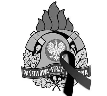 Strażacy z Kamiennej Góry oddali hołd poległym druhom z Niska