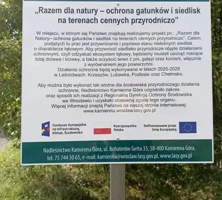 Spotkanie o gospodarce leśnej w okolicach Krzeszowa – już w czwartek