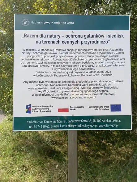 Spotkanie o gospodarce leśnej w okolicach Krzeszowa – już w czwartek